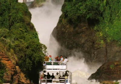 Uganda Safari Experiences