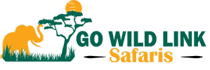 Go Wild Link Safaris